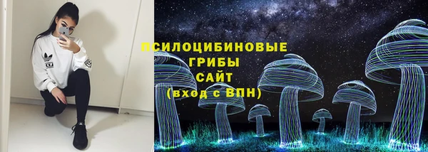 прущие крисы Абаза