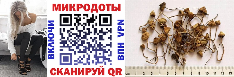 Галлюциногенные грибы Psilocybine cubensis  наркота  Ахтырский 